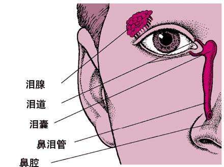 淚囊炎有哪些癥狀表現和并發癥？如何？