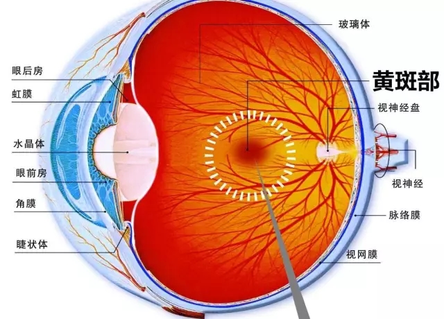 眼科醫(yī)生：在黑暗中看手機(jī)會(huì)患上“眼癌”？